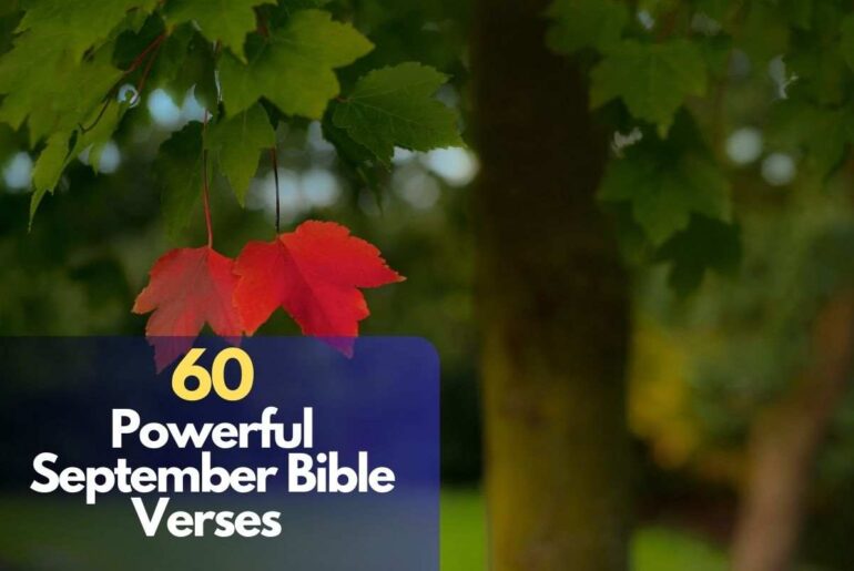 Verse Of The Day September 12 2025