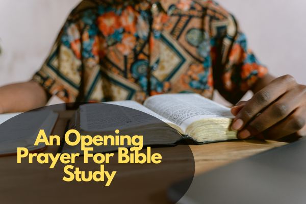 An Opening Prayer For Bible Study