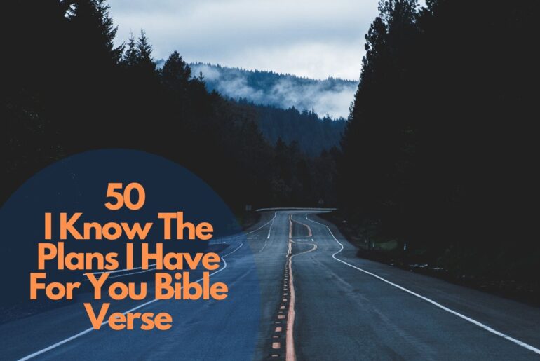 50 I Know The Plans I Have For You Bible Verse