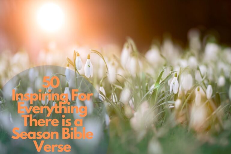 50 Inspiring For Everything There is a Season Bible Verse