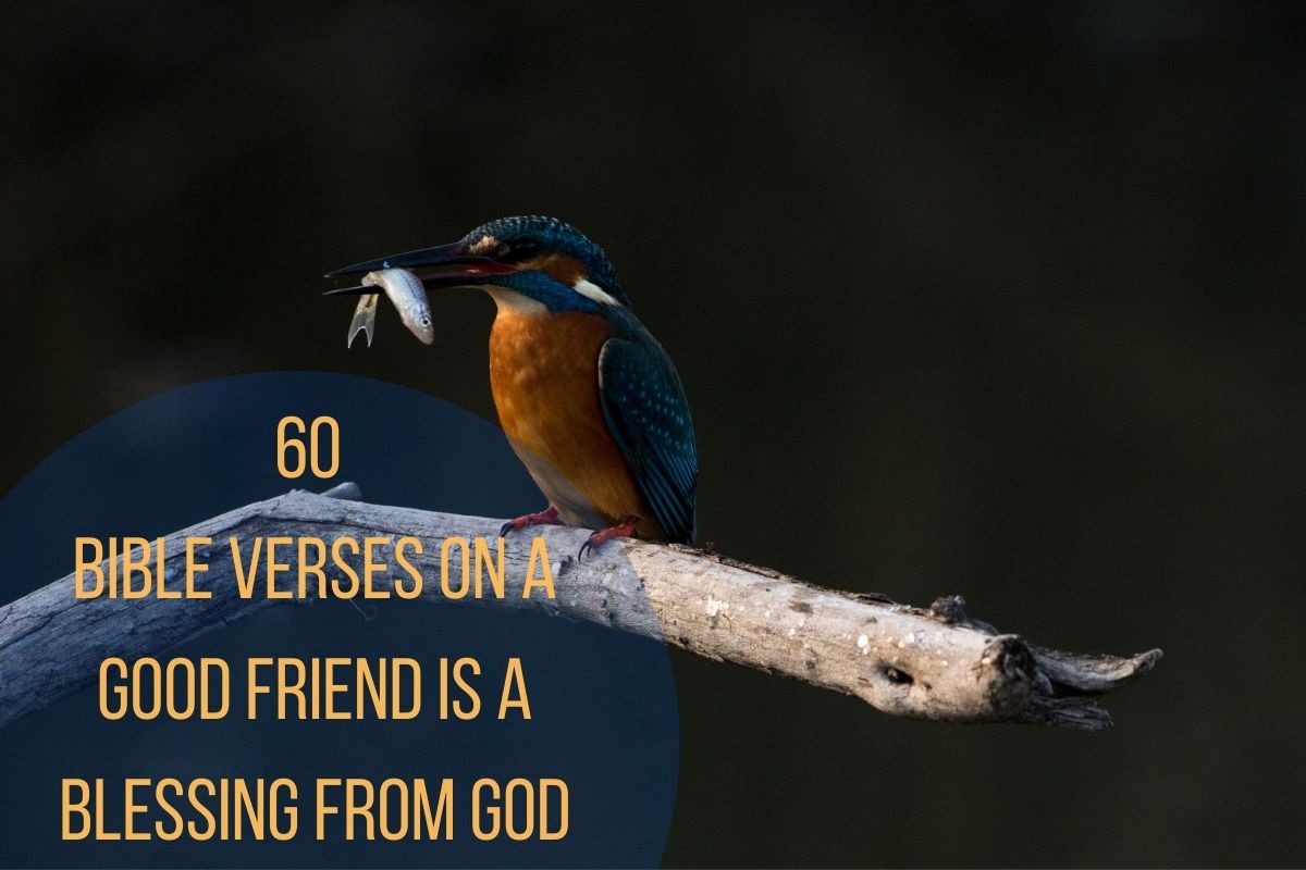60 Bible Verses On A Good Friend Is A Blessing From God