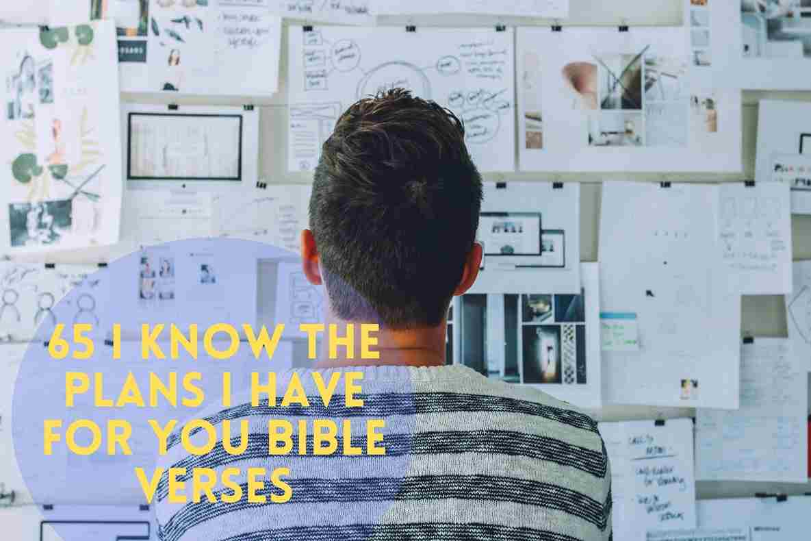 I Know The Plans I Have For You Bible Verses