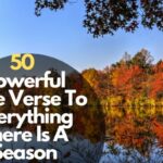 Bible Verse To Everything There Is A Season
