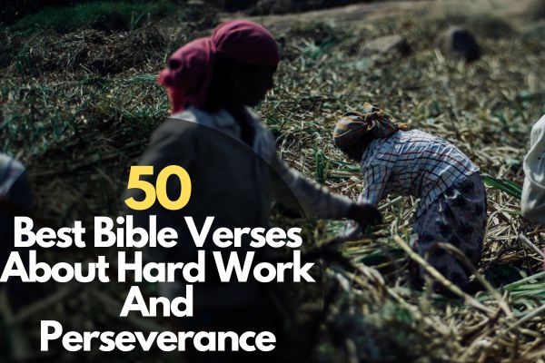 50 Best Bible Verses About Hard Work And Perseverance
