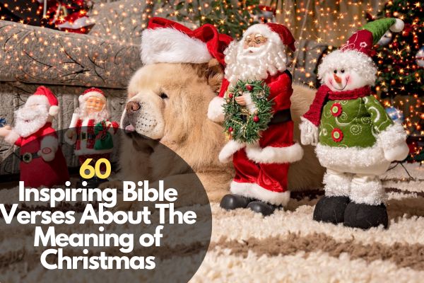 Bible Verses About The Meaning of Christmas