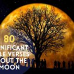 Bible Verses About The Moon