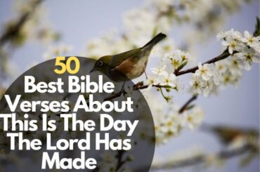 Rise up Verses in the Bible: What Does The Bible Say About Rise ...