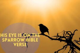 His Eye Is On The Sparrow Bible Verse