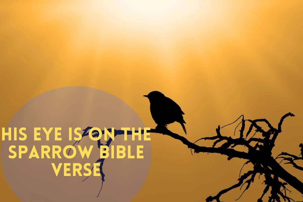 His Eye Is On The Sparrow Bible Verse