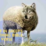 Wolf In Sheep's Clothing Bible Verse