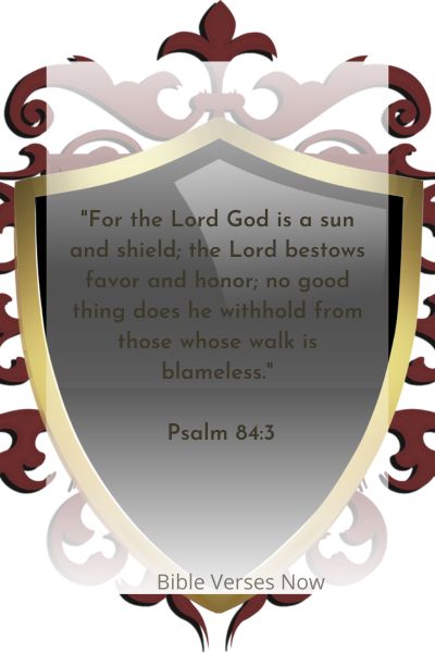 His Eye Is On The Sparrow Bible Verse