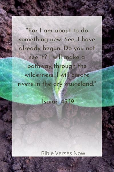 God Will Make a Way Bible Verse