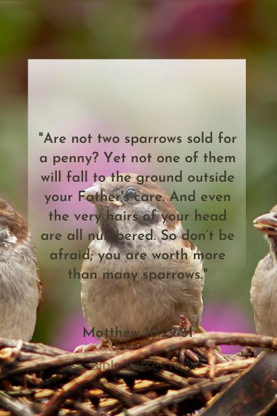 His Eye Is On The Sparrow Bible Verse