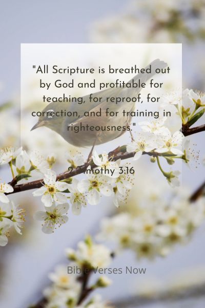  King James Bible Verse of The Day