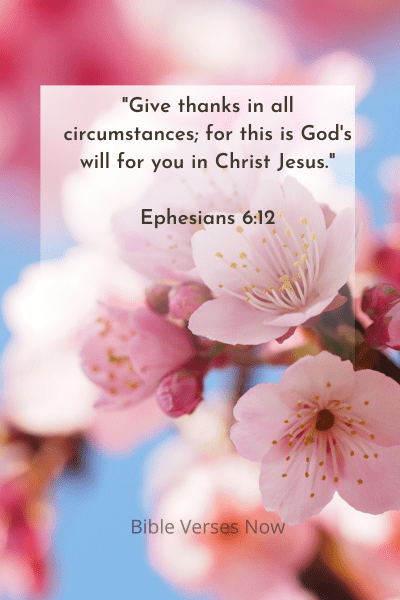 I Thank God For You Bible Verse 