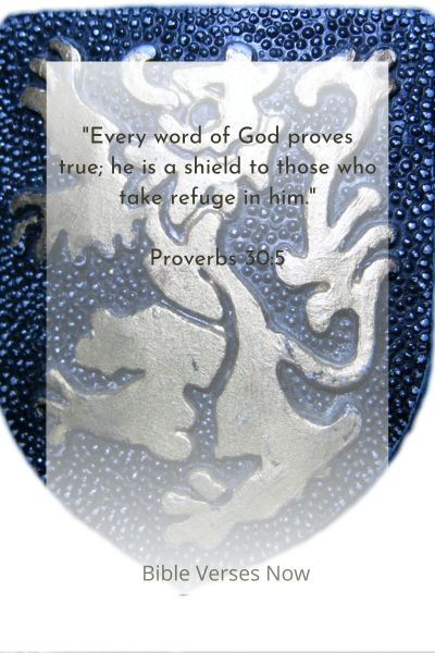  King James Bible Verse of The Day