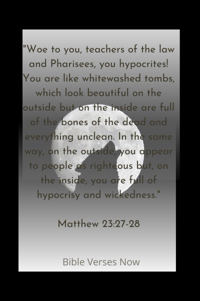 Wolf In Sheep's Clothing Bible Verse