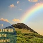 17 Powerful Prayers For The Environment
