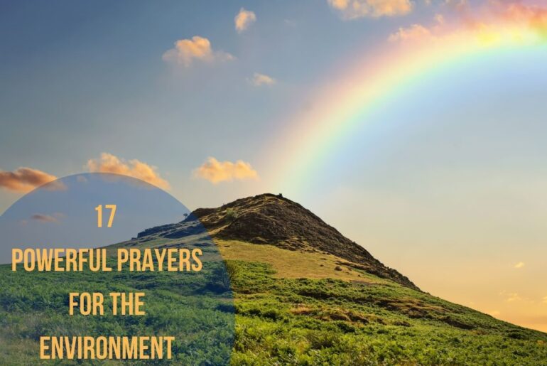 17 Powerful Prayers For The Environment