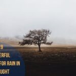 19 Powerful Prayers For Rain In Drought