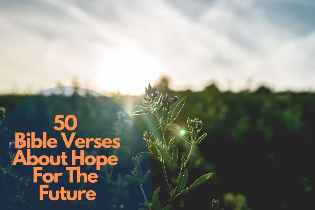 50 Bible Verses About Hope For The Future