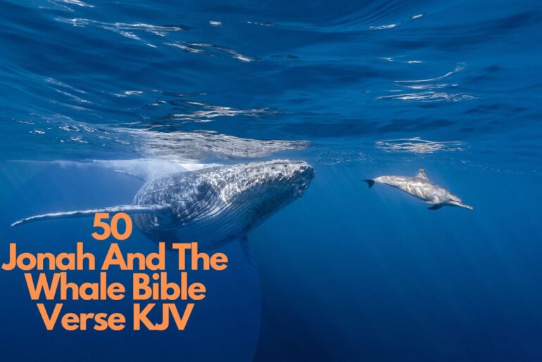 50 Jonah And The Whale Bible Verse KJV