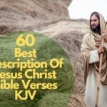 60 Best You Are Beautifully And Wonderfully Made Bible Verse Kjv