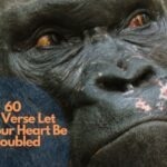 60 Bible Verse Let Not Your Heart Be Troubled