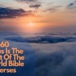 60 Jesus Is The Light Of The World Bible Verses