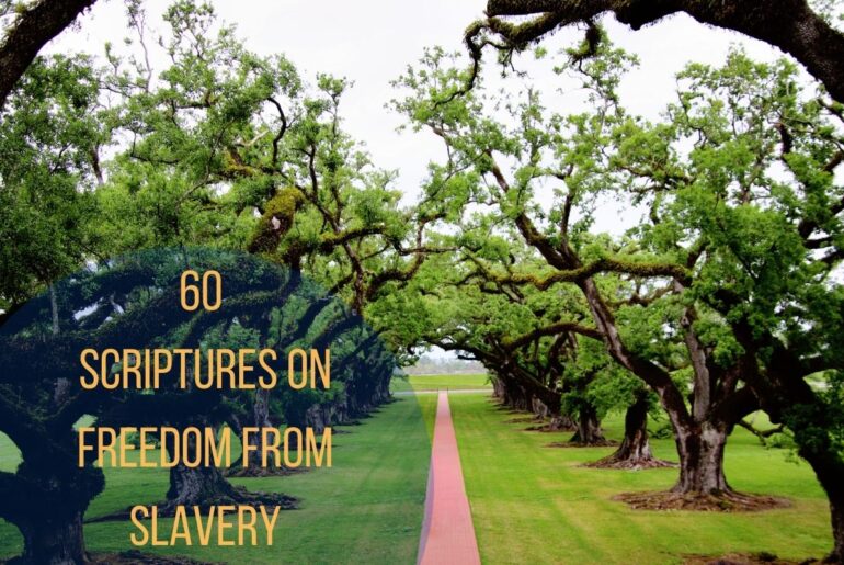 60 Scriptures On Freedom From Slavery