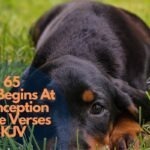 65 Life Begins At Conception Bible Verses KJV