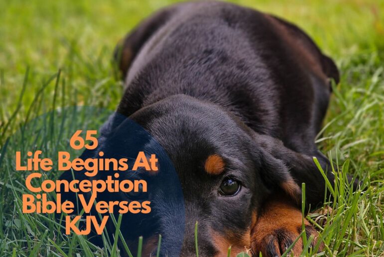 65 Life Begins At Conception Bible Verses KJV