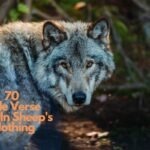 70 Bible Verse Wolf In Sheep's Clothing