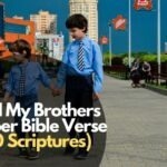60 Amazing Am I My Brothers Keeper Bible Verses
