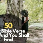 Bible Verse Seek And You Shall Find