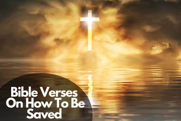 65 Best Bible Verses On How To Be Saved