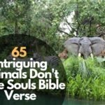 65 Intriguing Animals Don't Have Souls Bible Verse