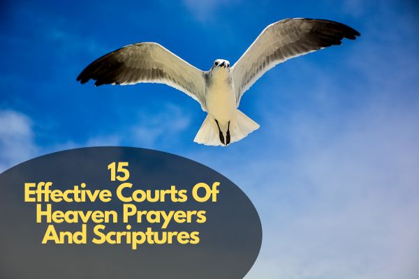 Courts Of Heaven Prayers And Scriptures