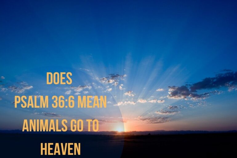 Does Psalm 366 Mean Animals Go To Heaven