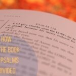 Discovering How the Book of Psalms is Divided