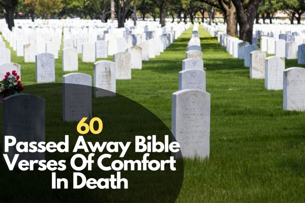 Passed Away Bible Verses Of Comfort In Death