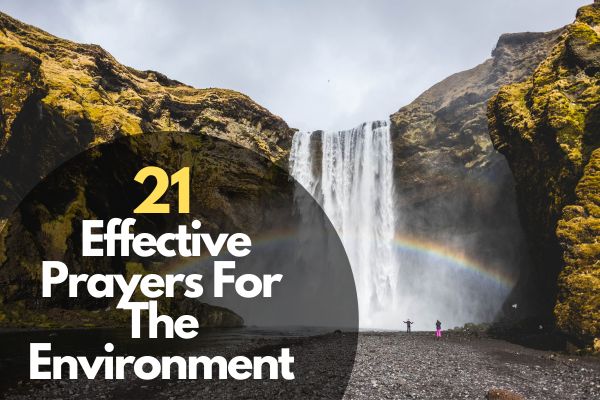 21 Effective Prayers For The Environment
