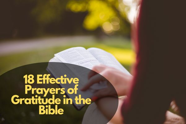 Prayers of Gratitude in the Bible