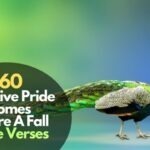 Pride Comes Before A Fall Bible Verses