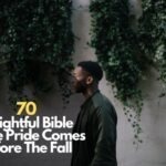 70 Insightful Bible Verse Pride Comes Before The Fall