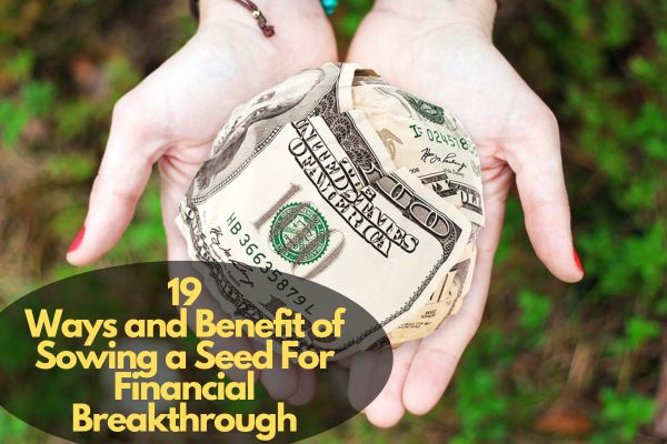 Sowing a Seed For Financial Breakthrough