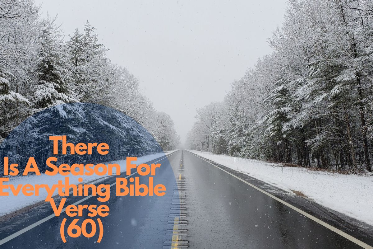 There Is A Season For Everything Bible Verse (60)