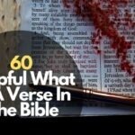 60 Helpful What Is A Verse In The Bible