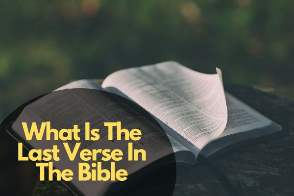 What Is The Last Verse In The Bible