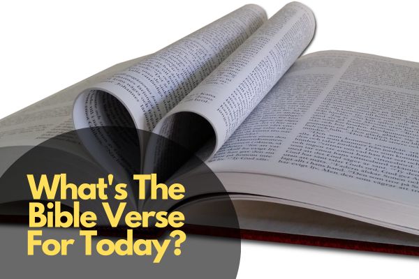 What's The Bible Verse For Today